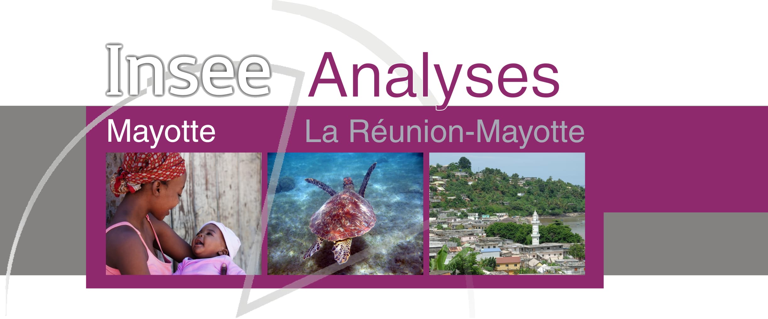 Insee Analyses Mayotte