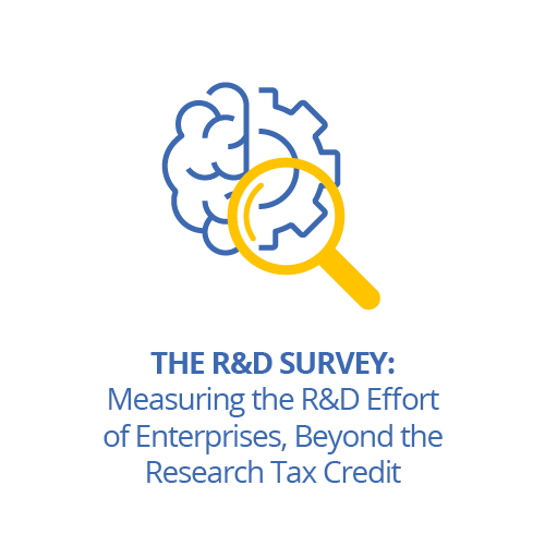 The R&D Survey: Measuring the R&D Effort of Enterprises, Beyond the Research Tax Credit