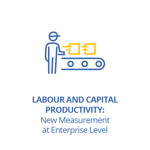 Labour and Capital Productivity: New Measurement at Enterprise Level