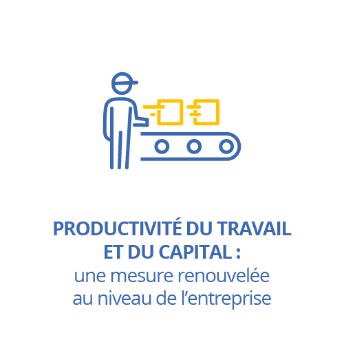 Productivité du travail et du capital : une mesure renouvelée au niveau de l’entreprise