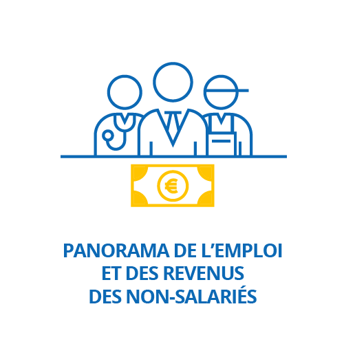 Panorama de l'emploi et des revenus des non-salariés