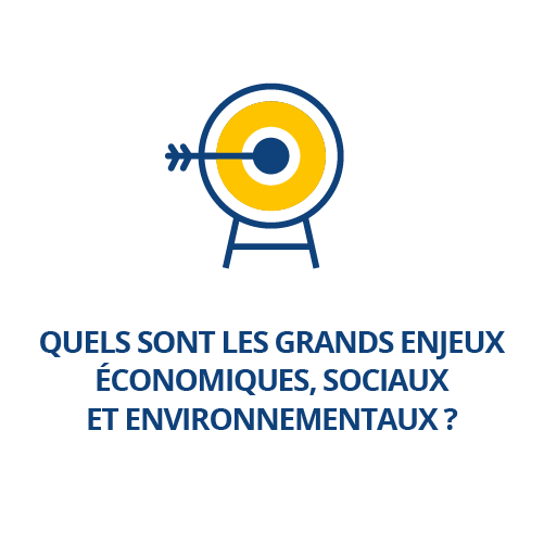 Quels sont les grands enjeux économiques, sociaux et environnementaux ?