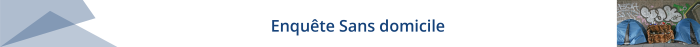 Enquête Sans Domicile