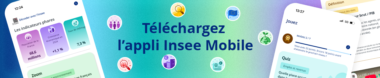 bandeau-insee-mobile