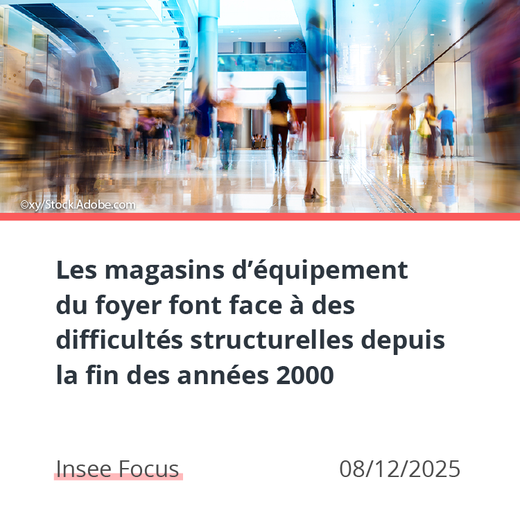Les magasins d’équipement du foyer font face à des difficultés structurelles depuis la fin des années 2000