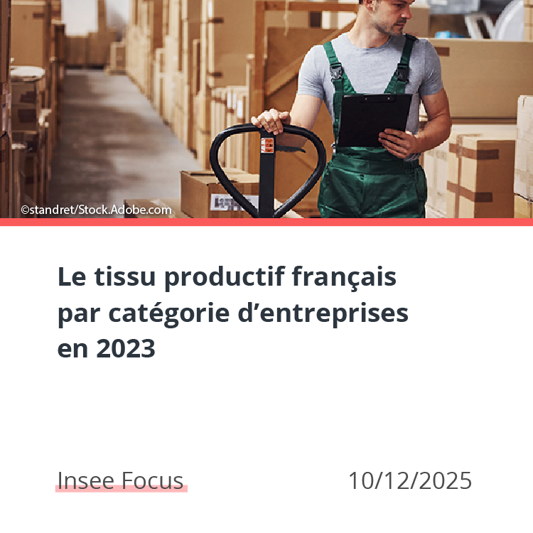 Le tissu productif français par catégorie d’entreprises en 2023