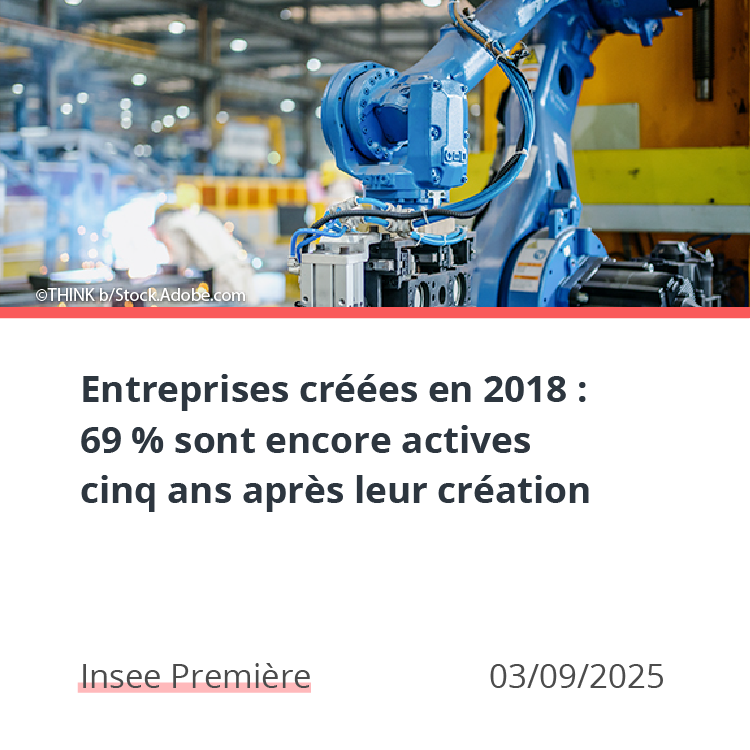 Entreprises créées en 2018 : 69 % sont encore actives cinq ans après leur création