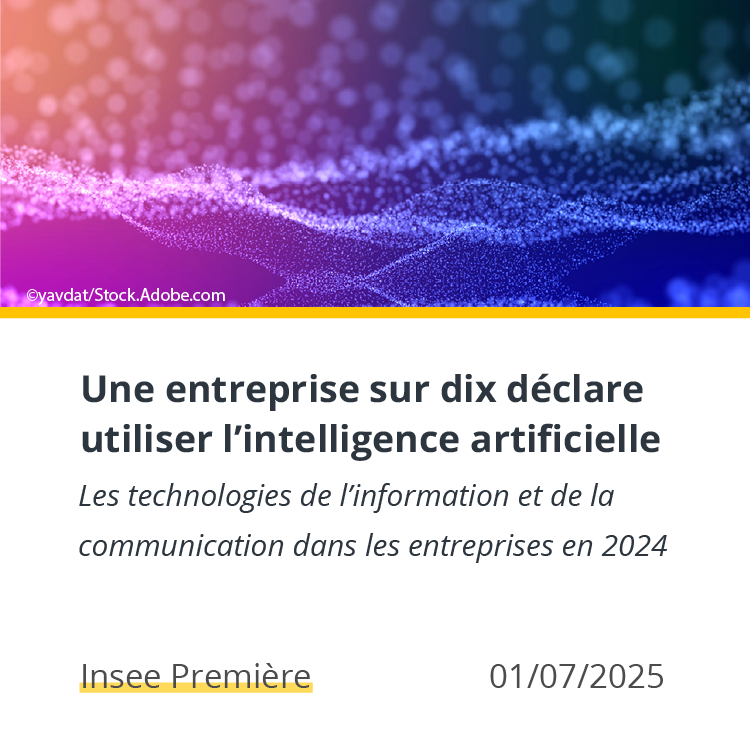 Les technologies de l’information et de la communication dans les entreprises en 2024