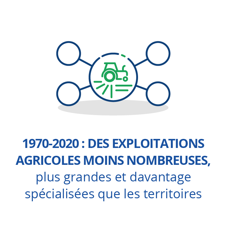 1970-2020 : des exploitations agricoles moins nombreuses, plus grandes et davantage spécialisées que les territoires