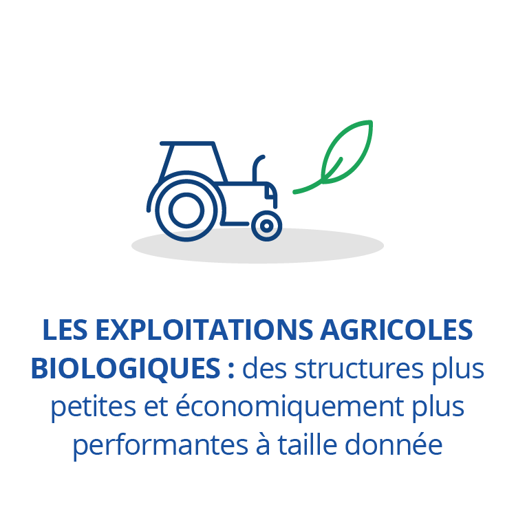 Les exploitations agricoles biologiques : des structures plus petites et économiquement plus performantes à taille donnée