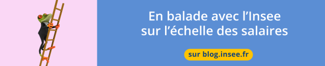 En balade avec l'Insee sur l'échelle des salaires