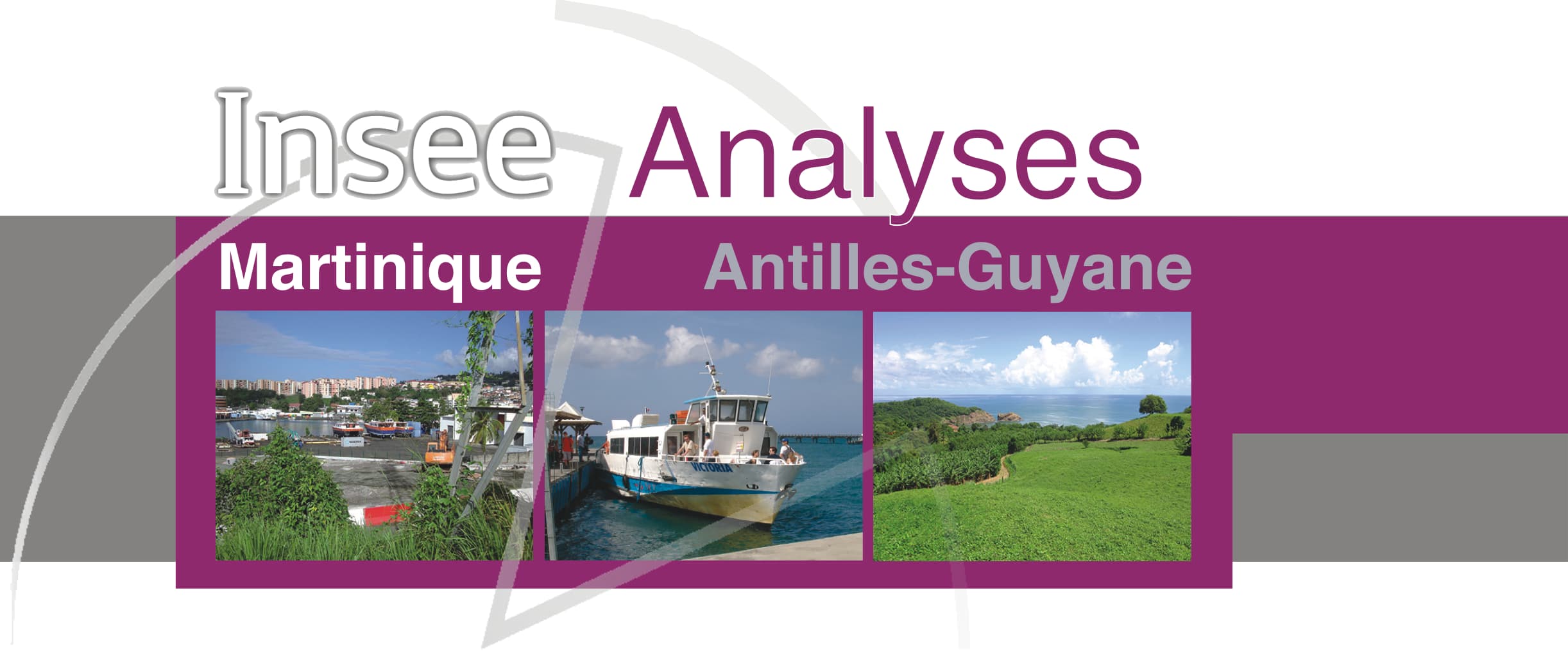 Insee Analyses Martinique